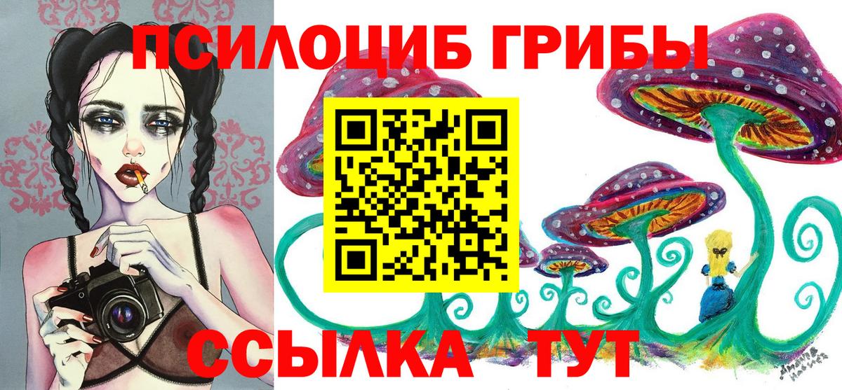 Галлюциногенные грибы мицелий  Псилоцибиновые грибы Magic Shrooms  Зерноград  Вход с VPN 