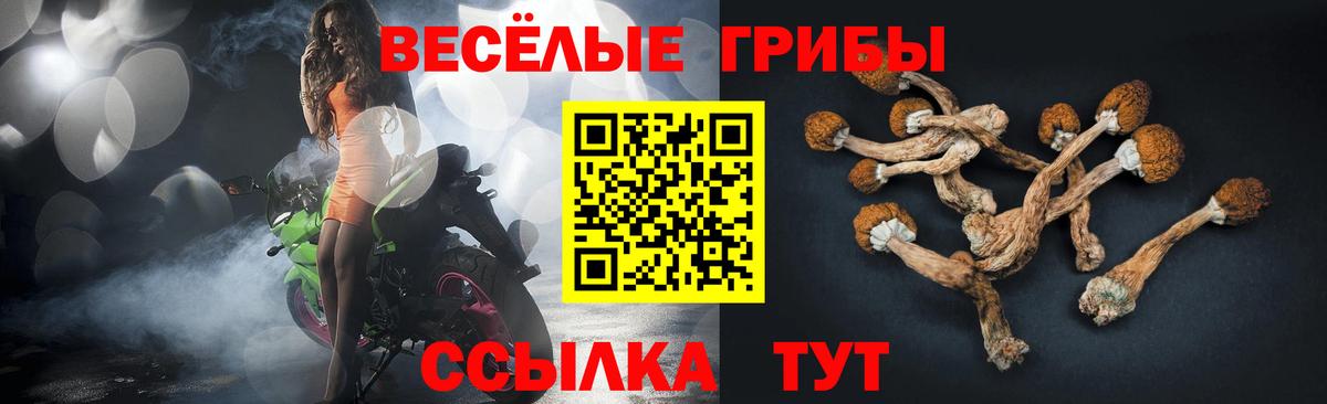 Галлюциногенные грибы Psilocybine cubensis Зерноград